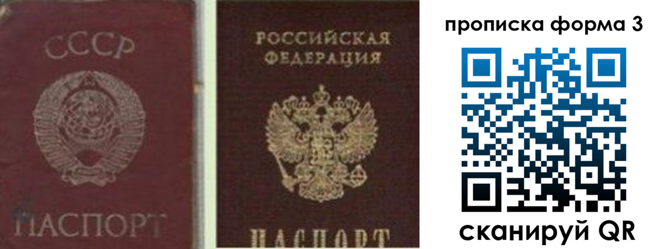 прописка гарантия в Москве